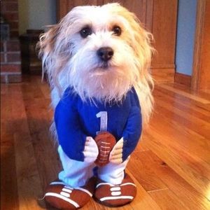 Meet your Posher, Lori